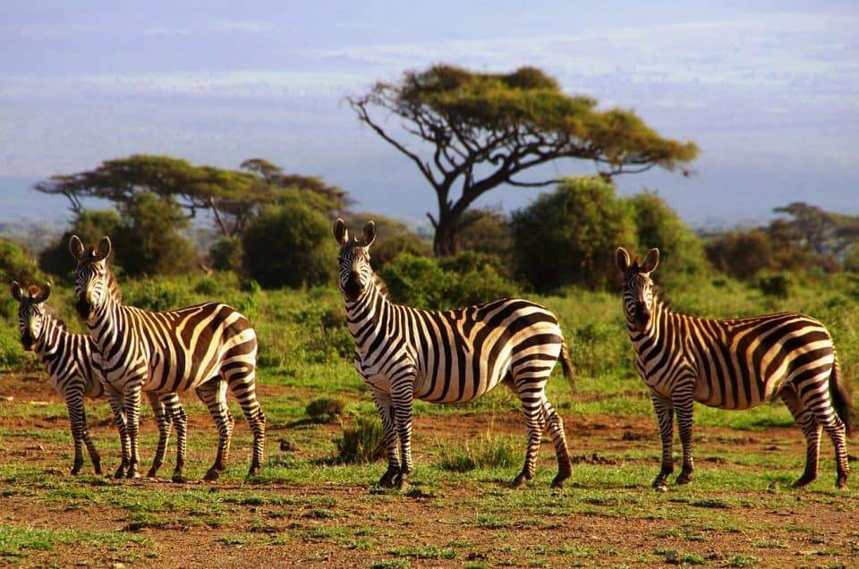 Du lịch Kenya - Châu Phi