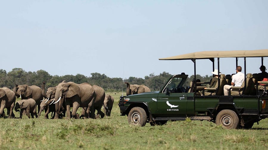 Thăm quan khu bảo tồn Masai Mara - Kenya - Châu Phi