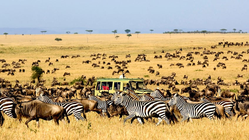 Tour châu Phi hoang dã