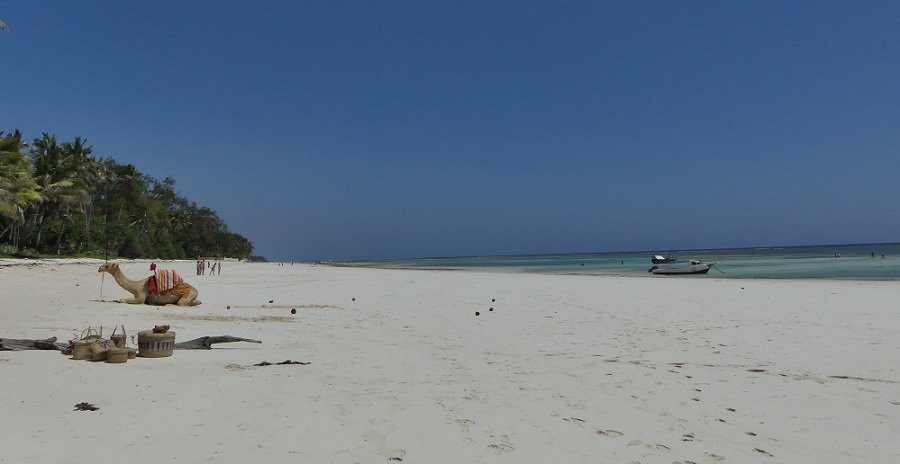 Bãi biển Diani Kenya
