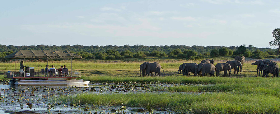 Công viên Chobe - Botswana