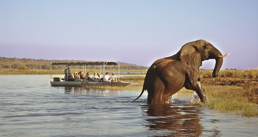  Công viên quốc gia Chobe - tour khám phá châu phi