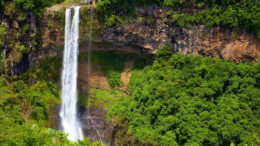 Vườn quốc gia Black River Gorges Mauritius - du lịch châu phi