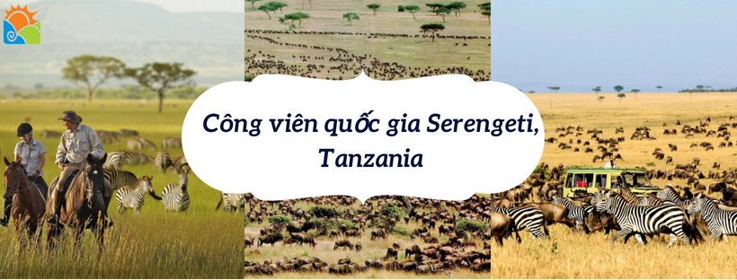 Công viên quốc gia Serengeti, Tanzania - du lịch Châu Phi hoang dã