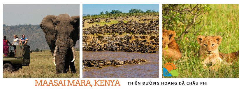 Khu bảo tồn Maasai Mara - Kenya - du lịch thiên nhiên hoang dã châu Phi
