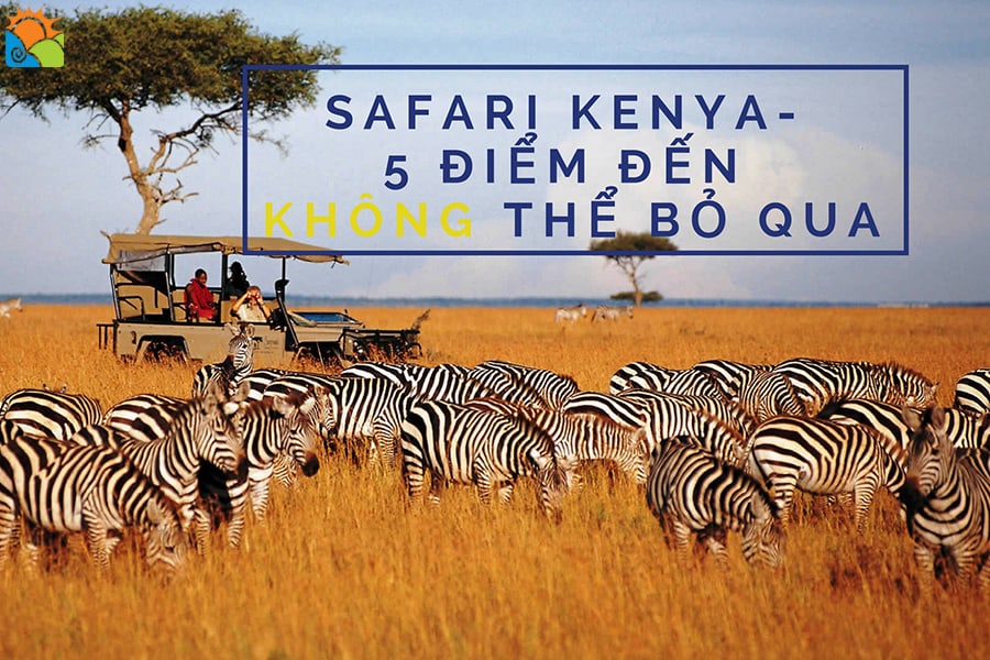 5 địa điểm du lịch Safari Kenya không thể bỏ qua