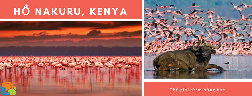 Hồ Nakuru, Kenya - địa điểm du lịch Châu Phi không thể bỏ qua