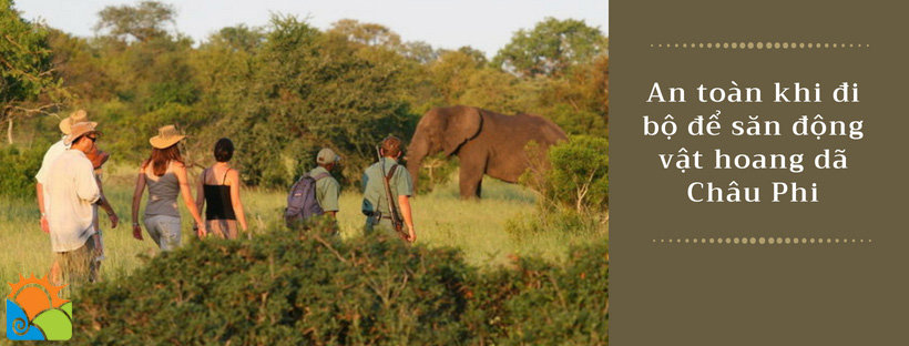 Mẹo đảm bảo an toàn khi đi bộ săn động vật hoang dã Châu Phi