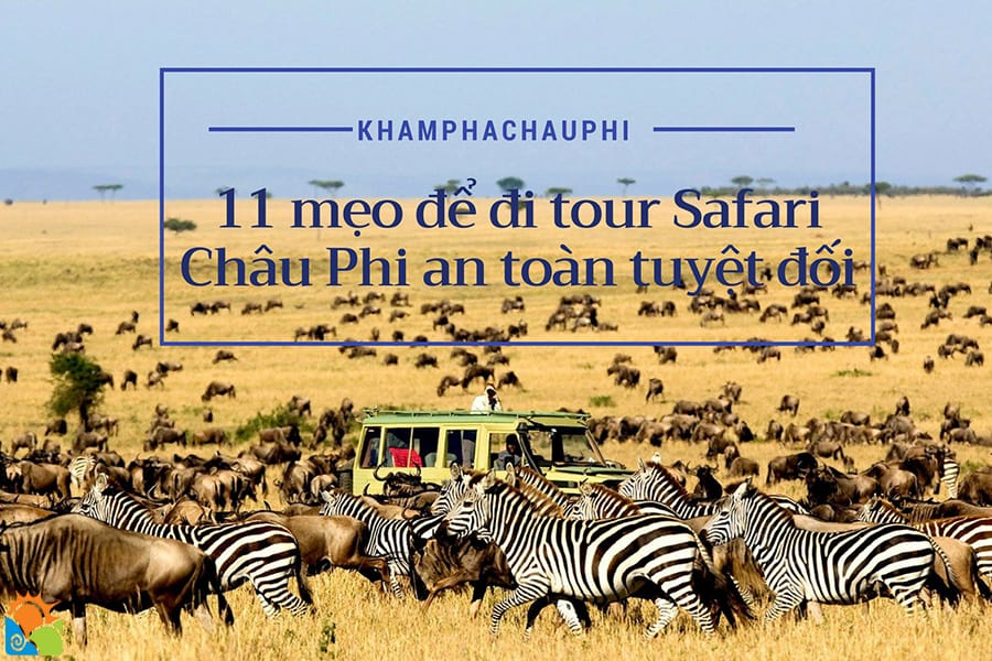 11 mẹo để trải nghiệm Safari Châu Phi an toàn tuyệt đối