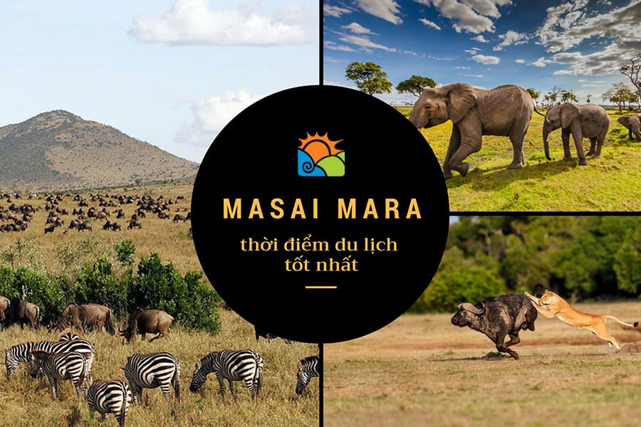 Du lịch Masai Mara Kenya thời điểm nào đẹp nhất