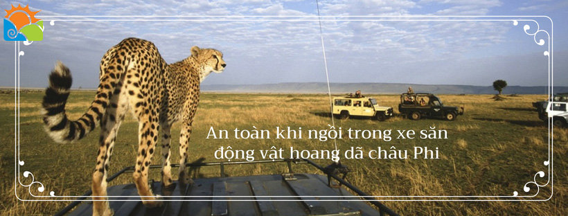 mẹo để an toàn khi ngồi trên xe săn động vật hoang dã Châu Phi
