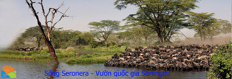 Sông -Serengeti Vườn Quốc gia Serengeti - Tour khám phá châu phi hoang dã