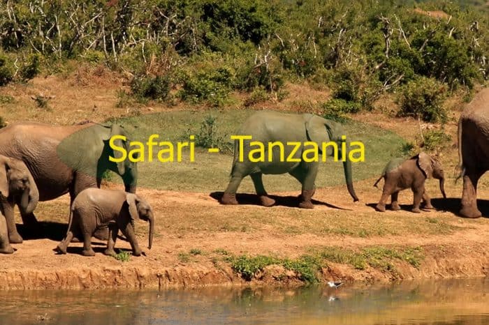 Dấu ấn thiên nhiên hoang dã Châu Phi qua Tanzania xinh đẹp