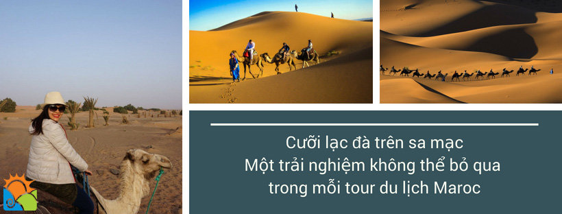 Cưỡi lạc đà là một trải nghiệm không thể thiếu trên hành trình khám phá Maroc - tour Maroc
