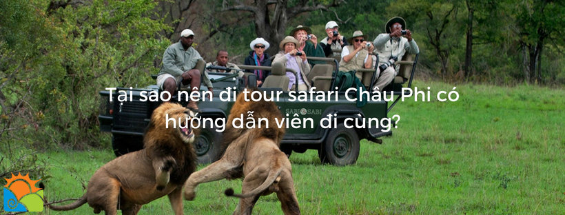 Tại sao nên đi tour du lịch Safari Châu Phi cùng hướng dẫn viên