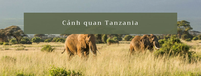 Cảnh quan Tanzania - khám phá Châu Phi