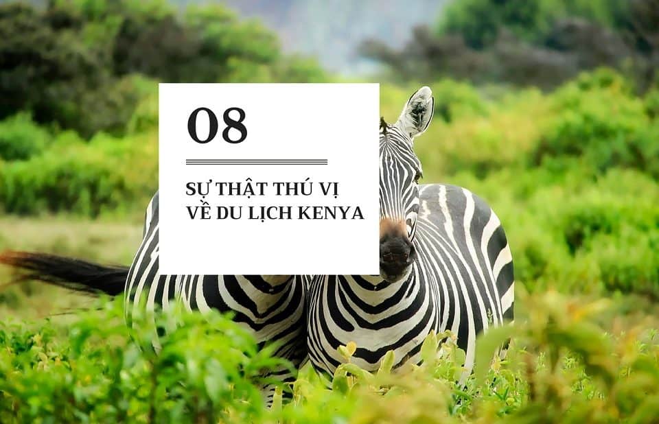 08 sự thật thú vị về du lịch Kenya