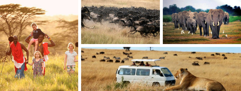 Thiên nhiên hoang dã Kenya - Khám phá thế giới động vật hoang dã Châu Phi