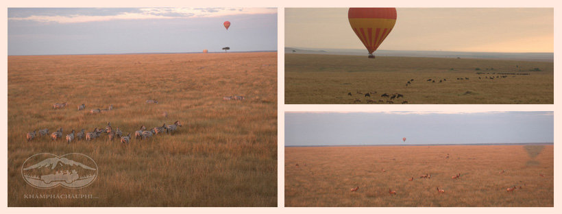 Ngắm nhìn Maasai Mara từ trên cao - trải nghiệm du lịch Kenya