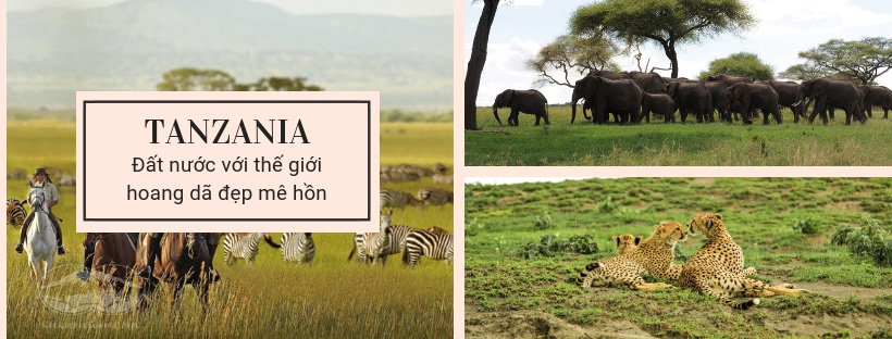 Tanzania hoang dã - 5 lý do nên đi du lịch Châu Phi