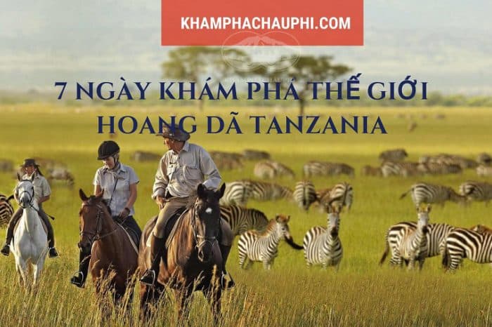 Tour khám phá Tanzania kỳ thú 7 ngày