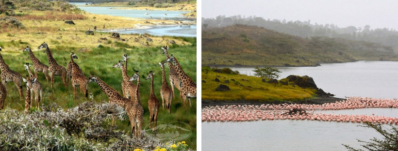 Vườn Quốc gia Arusha - Tanzania - du lịch safari Tanzania
