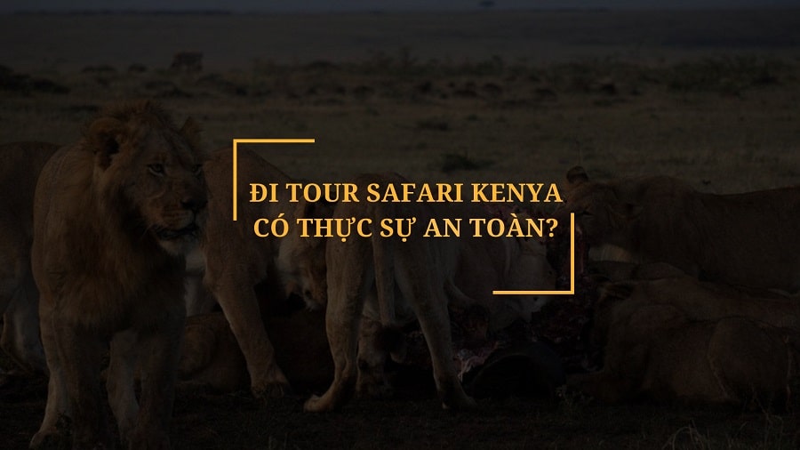 Đi tour safari Kenya có an toàn không?