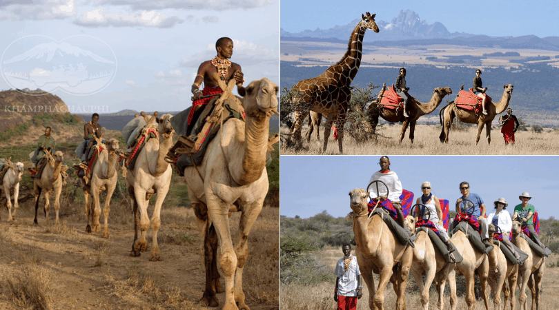 Cưỡi lạc đà tại Kenya - Du lịch Kenya 