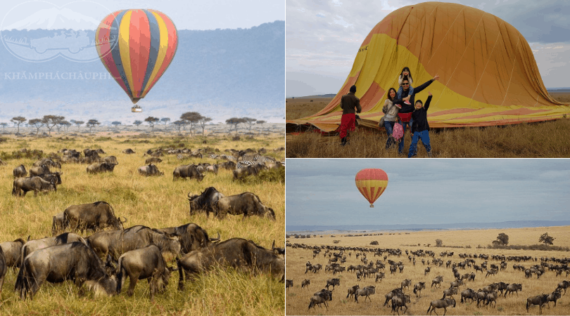 Bay khinh khí cầu - Du lịch Kenya 