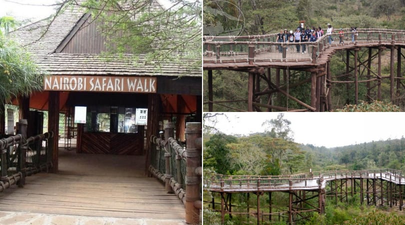 Nairobi Safari Walk - Du lịch Kenya 