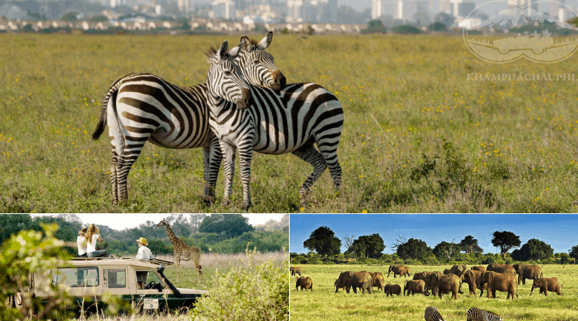 Công viên quốc gia Nairobi - Du lịch Kenya 
