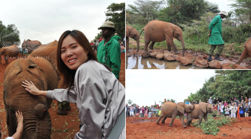 Chơi đùa cùng voi - Du lịch Kenya 