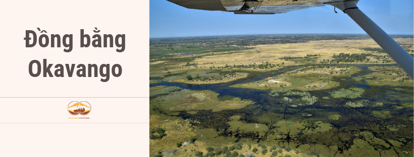 dong bang Okavango