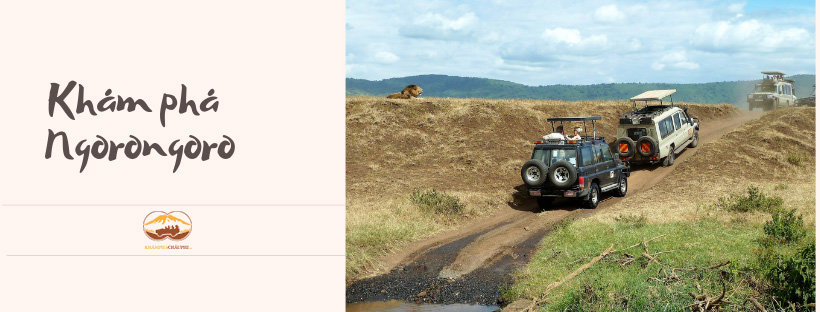 khám phá Ngorongoro 